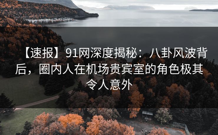 【速报】91网深度揭秘:八卦风波背后,圈内人在机场贵宾室的角色极其令人意外 【速报】91网深度揭秘:八卦风波背后,圈内人在机场贵宾室的角色极其令人意外