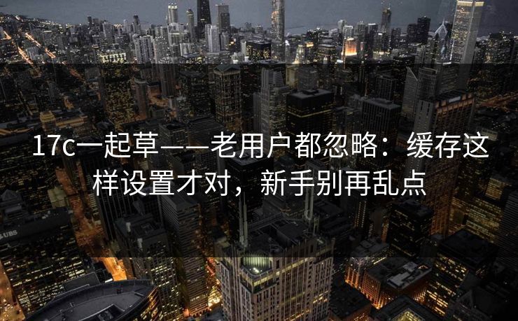17c一起草——老用户都忽略：缓存这样设置才对，新手别再乱点