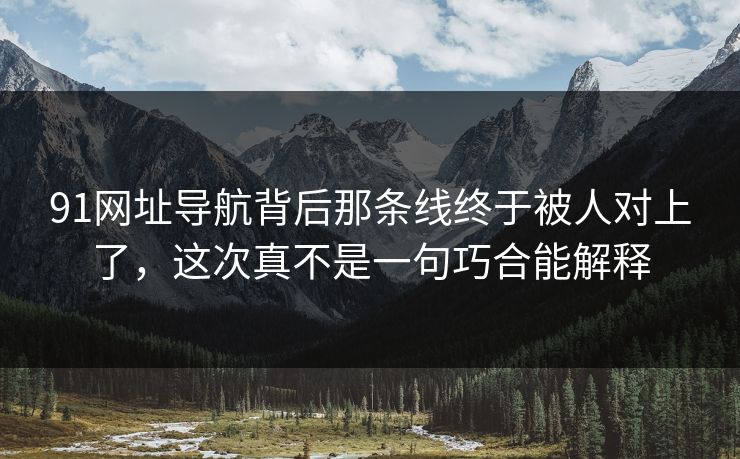 91网址导航背后那条线终于被人对上了，这次真不是一句巧合能解释